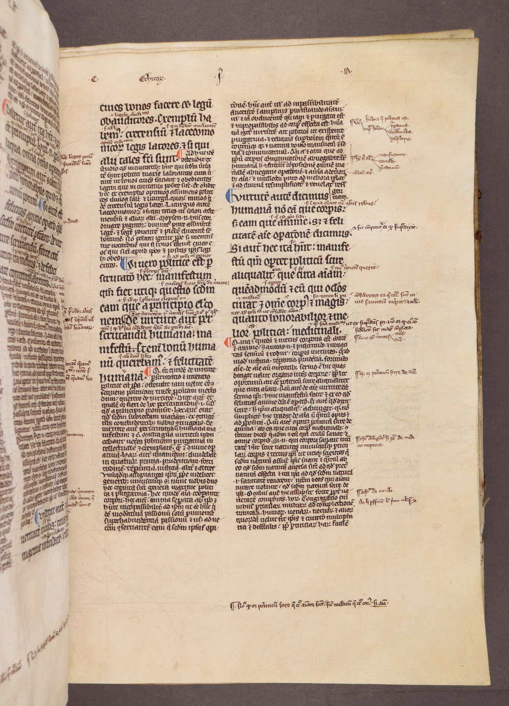 Folio 40 recto